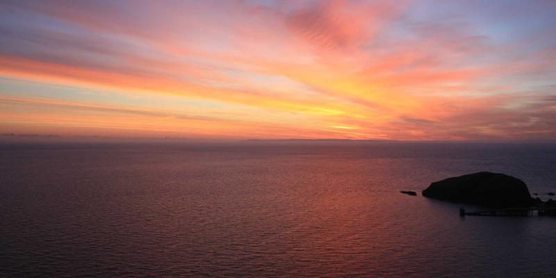 AI驱动的精准营养：解码基因组学如何重塑未来健康饮食产业