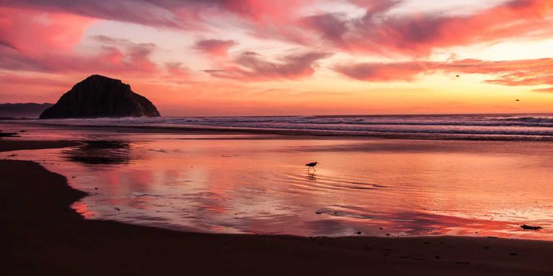 从太空探索到元宇宙：6G与太赫兹技术如何通过AI赋能全息通信的未来