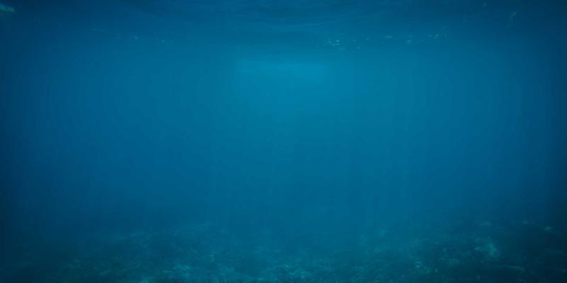 未来趋势31：解码数字与生物技术融合的明日世界