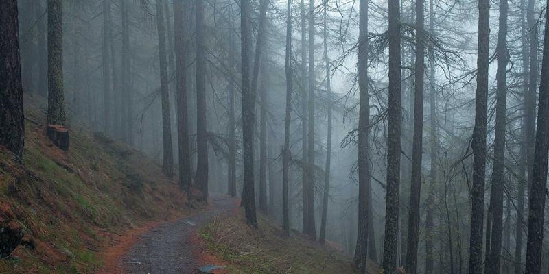 未来趋势：AI与太空探索如何重塑分布式能源革命中的家庭微电网与社区共享模式