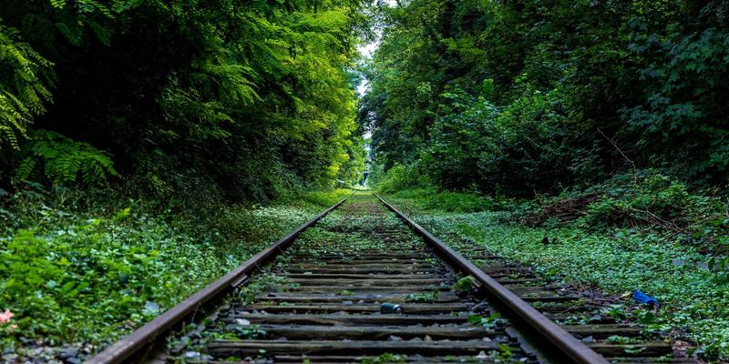 未来趋势前瞻：AI、太空探索与生物技术的融合将如何重塑人类未来