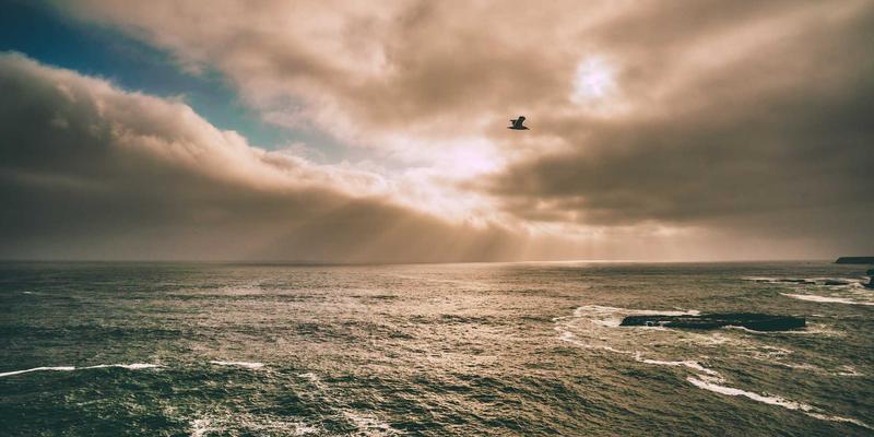 洞悉未来趋势优势:从太空探索到数字未来的技术预测