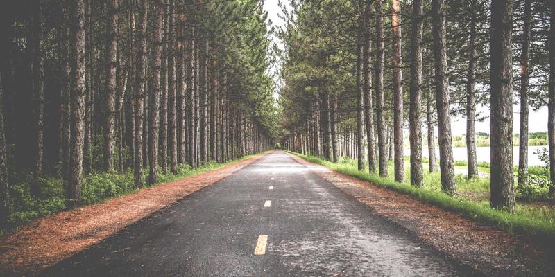 窥见未来：AI驱动下的未来48个月科技趋势预测