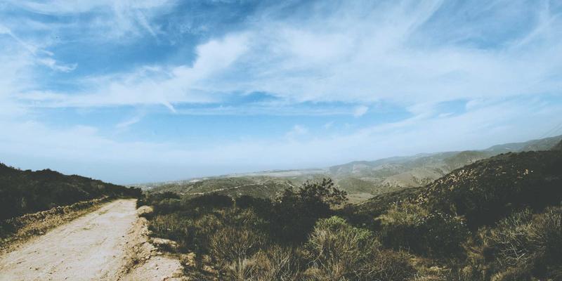 脑机接口与情感计算：生物科技与AI如何重塑数字未来的人机交互