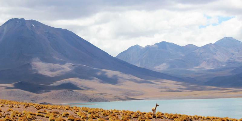 脑机接口：从医疗康复到认知增强，探索生物技术、太空探索与数字未来的交汇点