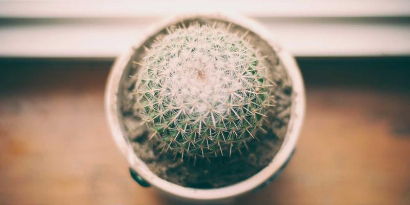 解码未来:2025-2030年塑造数字未来的关键技术预测与趋势