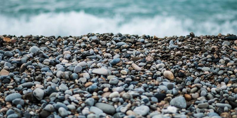 解码未来趋势：生物技术与数字未来如何重塑气候科技投资版图