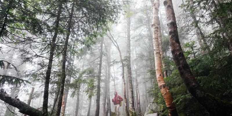 量子计算革命：从药物发现到太空探索的未来趋势